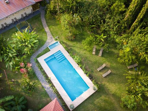 an overhead view of a swimming pool in a yard at Hotel Casa Merlin in Puerto Viejo