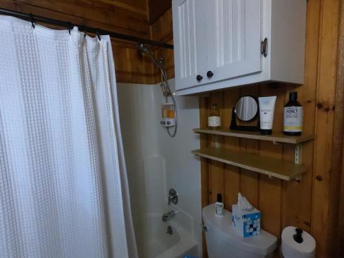 a bathroom with a shower curtain and a toilet at Bryce’s Zion House by Bryce Canyon National Park! in Panguitch
