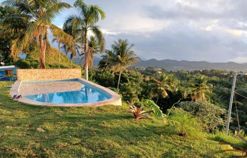 a swimming pool on top of a hill with palm trees at Jubilee Campsite Swim & Paint in Las Piedras