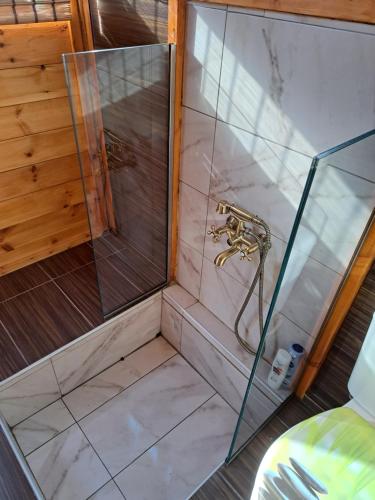 a shower with a glass door and a sink at Wooden House at the Mountain-private in Paránimfoi