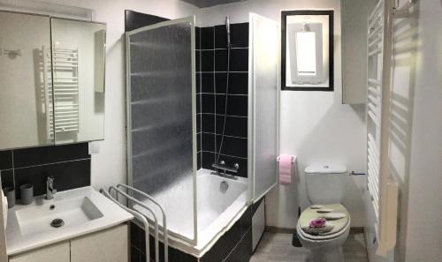 une salle de bain avec un lavabo, des toilettes et une douche dans l'établissement Gîte Les Sables calme proche Zoo de Beauval & Châteaux, avec piscine, à Mareuil-sur-Cher