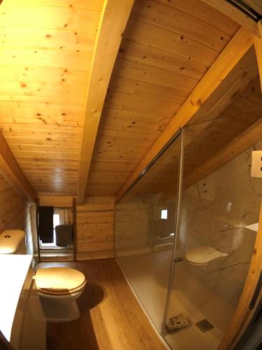 an attic bathroom with a toilet and a shower at Vila Espigueiro I in Bustelo