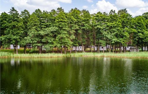 a large body of water with trees in the background at Beautiful Home In Sulnowo With Sauna in Sulnówko