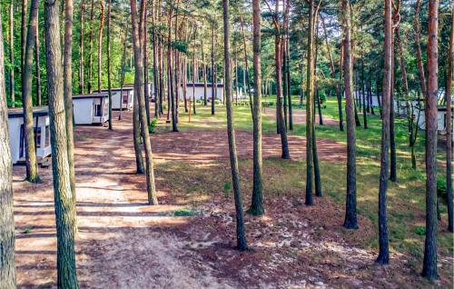 a wooded area with a lot of trees and buildings at Beautiful Home In Sulnowo With Sauna in Sulnówko