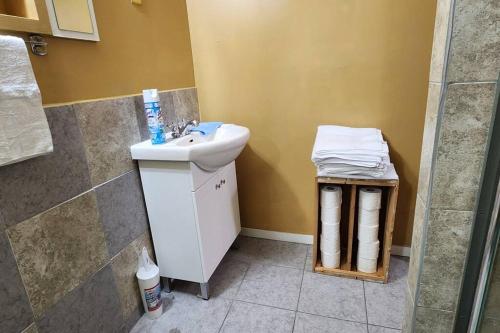 a bathroom with a sink and a toilet in it at Chesskings Guest House - Unit 2 in Winnipeg