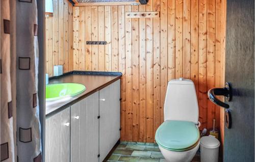 a bathroom with a green toilet and a sink at Nice Home In Anholt With Kitchen in Anholt