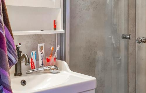 lavabo con cepillos de dientes y ducha en Gorgeous Home In Enviken With Kitchen, en Enviken