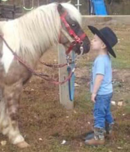 Un ragazzo è in piedi accanto a un cavallo di Goin' Bonanza Glamping Ranch a Mammoth Spring