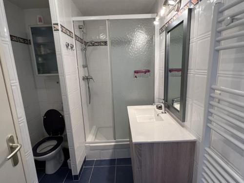 uma casa de banho com um WC, um lavatório e um chuveiro em Appartement Dives-sur-Mer, 2 pièces, 4 personnes - FR-1-794-74 em Dives-sur-Mer