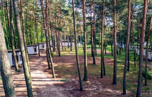 a group of trees in a park with buildings at Cozy Home In Sulnowo With Sauna in Sulnówko