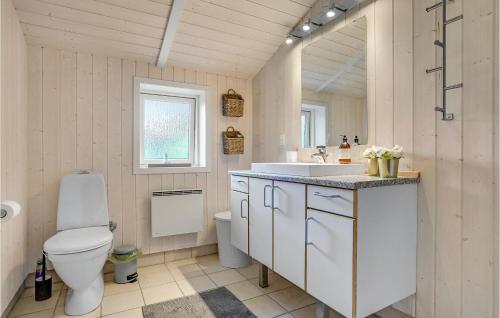 een badkamer met een toilet, een wastafel en een spiegel bij Awesome Home In Rrvig With Kitchen in Rørvig