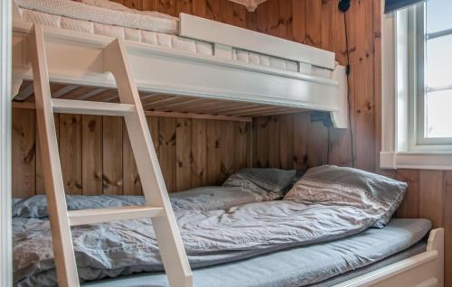 a bunk bed with a ladder in a room at Beautiful Home In Engerdal With Kitchen 