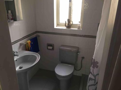 uma pequena casa de banho com WC e lavatório em Entire apartment with Ramla Bay view (Gozo, Malta) em Il-Pergla