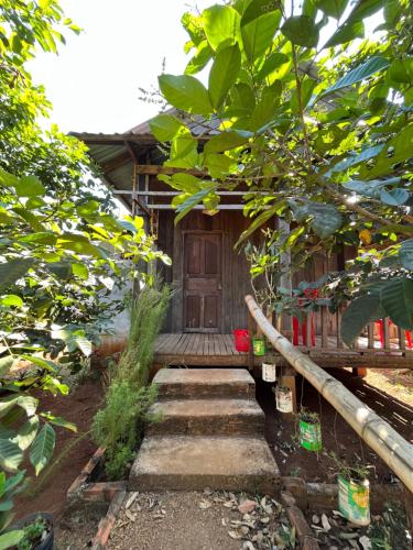 a wooden house with stairs leading to a porch at Ratanakiri Farmhouse & Trekking in Banlung