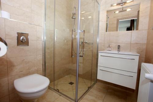 y baño con ducha, aseo y lavamanos. en Villa Terrasse, en Eger