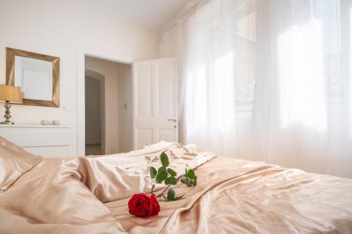 Nadiona Suites Red & Cream