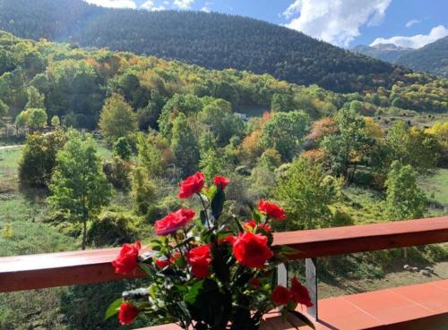 un bouquet di fiori rossi su un balcone di Apartaran 407 con terraza a Betrén