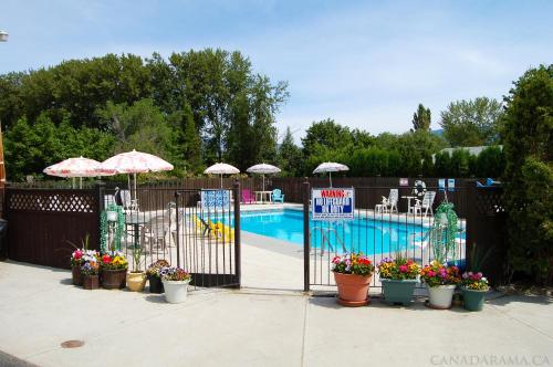 una piscina con sombrillas y macetas junto a una valla en Rosedale Motel, en Summerland