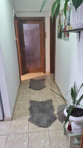 a hallway with a door and two mats on the floor at Apartament Ema in Mangalia