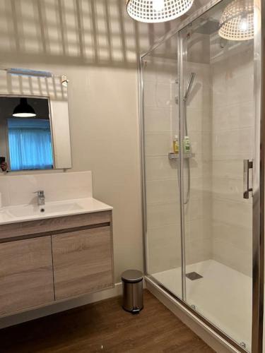 une salle de bain avec douche et lavabo dans l'établissement Rénové, proche centre-ville et Arsenal, à Brest