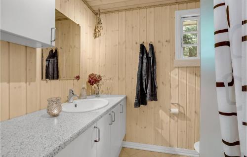 a bathroom with a sink and a mirror at Stunning Home In Gistrup With Wifi in Gistrup