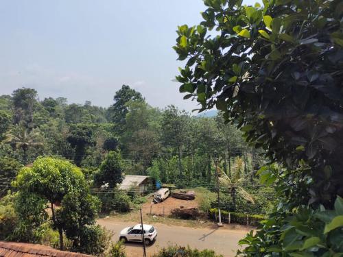 a white car parked on a road in a forest at Green Land Estate Homestay 5 Rooms With Garden View in Madikeri