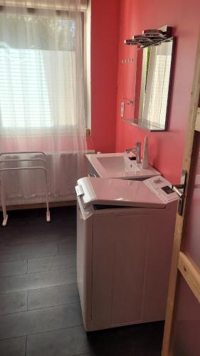 un bagno rosa con lavandino e specchio di Les Hauts de Sochaux a Sochaux