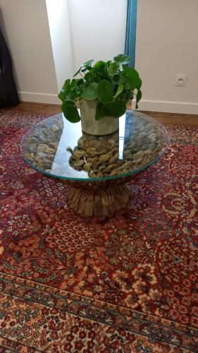 a table with a potted plant on top of a rug at LA LANDE in Pleyber-Christ