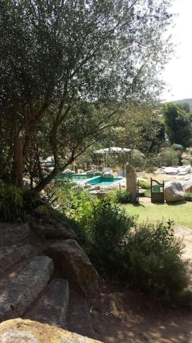 - une piscine dans un parc planté d'arbres et de rochers dans l'établissement Villa con piscina tra Porto vecchio e Bonifacio, à Figari