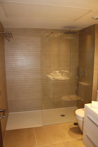 a bathroom with a shower and a toilet at Aqua Apartments Vento, Marbella in Marbella