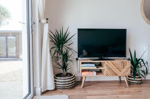 a living room with two potted plants and a television at The Hideout - Newquay - Fully Stocked Eco Escape in Newquay