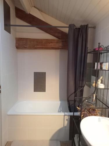 une salle de bain avec un rideau de douche et un lavabo dans l'établissement Chambre chez les gens de Garonne, à Couthures-sur-Garonne