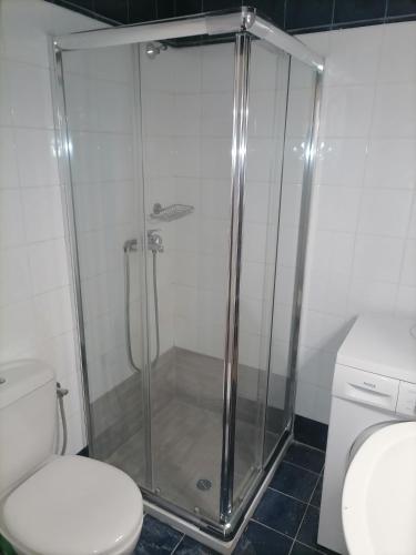 a shower stall in a bathroom with a toilet at Lukia Barbati Mare in Barbati