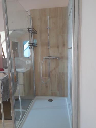 a bathroom with a shower with a glass door at La Mare aux Fées in Huelgoat