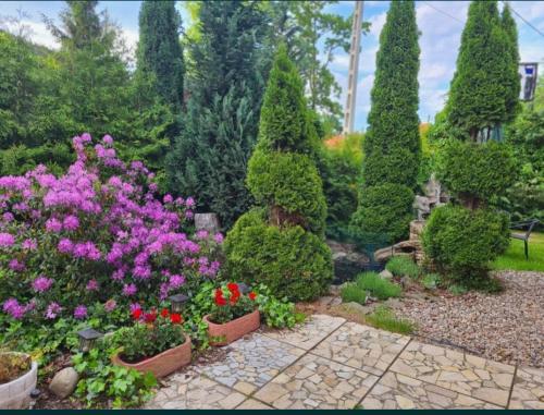 a garden with pink flowers and bushes and trees at Lawendowy zakątek in Polanica-Zdrój