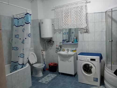 a bathroom with a toilet a sink and a washing machine at Vila Mara in Sărata-Monteoru