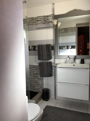 a bathroom with a toilet and a sink at Chez Janine in Saint-Laurent-dʼAigouze