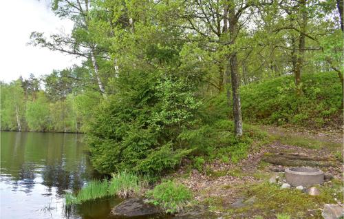 a tree next to a body of water at Awesome Home In Askome With Wifi in Askome