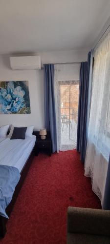 een slaapkamer met een bed en een raam en een rode loper bij RIA Room - Apartemente 9 in Baile Felix