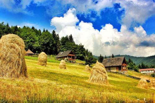 a group of hay bales on a field with houses at Domek u Johnnego 27 