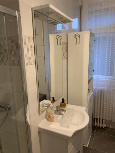 a bathroom with a sink and a shower and a mirror at Apartment Rose II in Zagreb