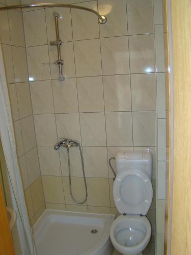 a small bathroom with a toilet and a shower at Pansion Ivan in Međugorje