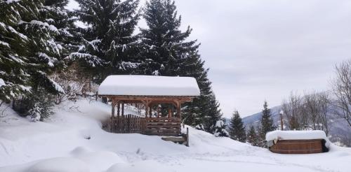 a wooden gazebo in the snow with trees at Cabana Kraus in Valea Vişeului