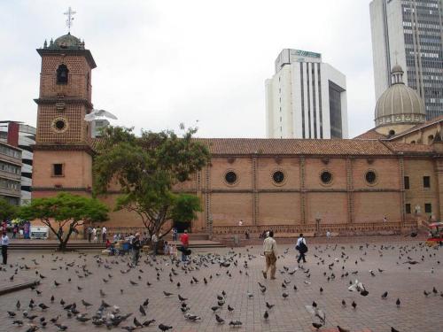 a large group of birds in front of a building at Rinconcito Caleño!! in Cali