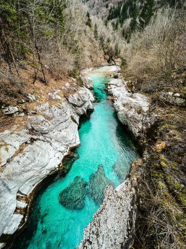 an aerial view of a river with blue water at Apartments Mala Korita Soče in Soča