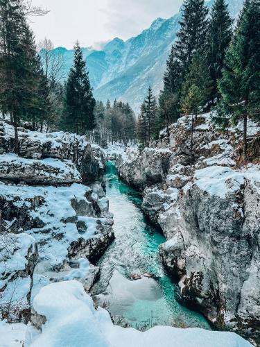 a river with snow on the rocks and trees at Apartments Mala Korita Soče in Soča