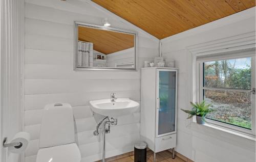 een witte badkamer met een wastafel en een spiegel bij Cozy Home In Gilleleje With Kitchen in Gilleleje