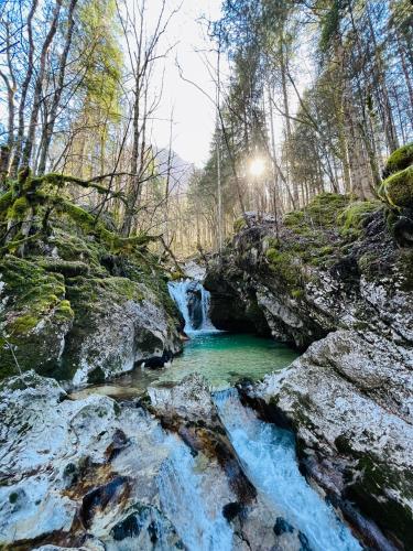 a waterfall in the middle of a forest at Apartments Mala Korita Soče in Soča