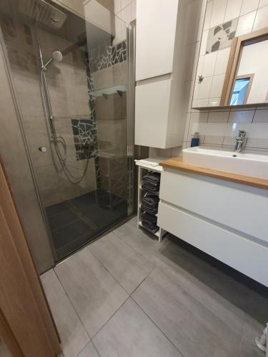 a bathroom with a shower and a sink at Brunnalm Ski - Ferien Apartment - Veitsch - max 6 Person in Niederaigen