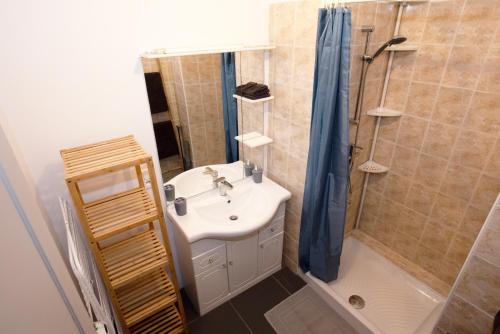 y baño con lavabo y ducha. en CONFORTABLE T2 AVEC PARKING PRIVE AU CENTRE de BRIVE, en Brive-la-Gaillarde